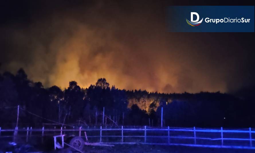 Bomberos de Futrono y Los Lagos concurrieron a Paillaco 