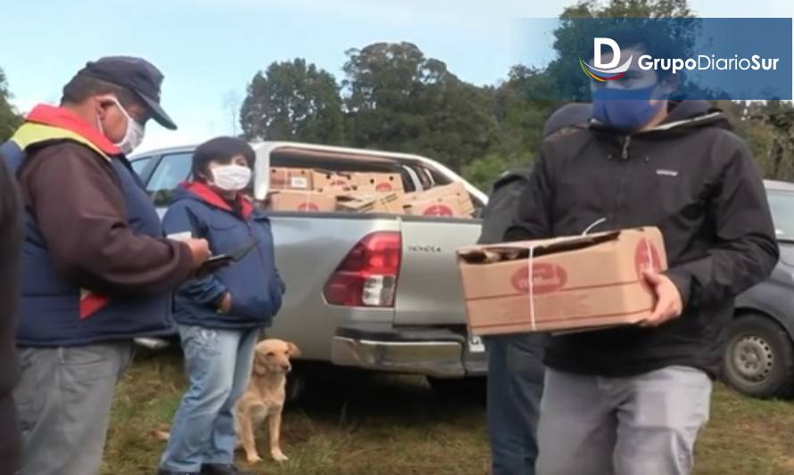 Municipio de Lago Ranco mantendrá ayudas sociales para familias