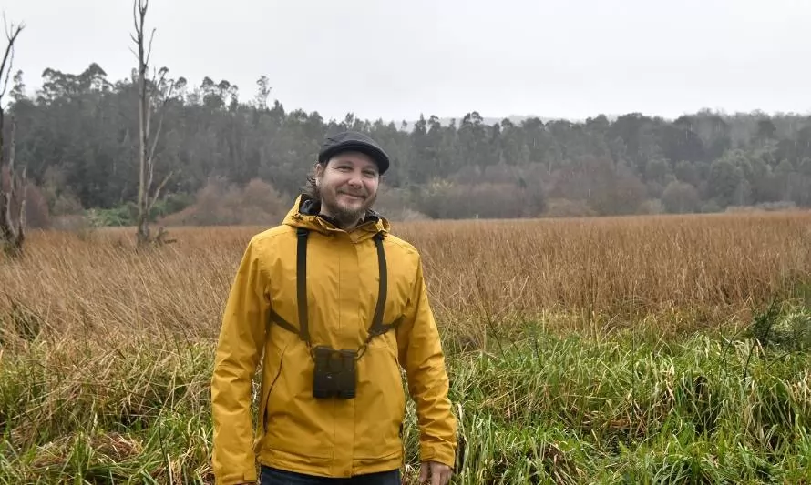 Académico explica las razones tras disminución de cisnes de cuello negro en el Santuario de la Naturaleza