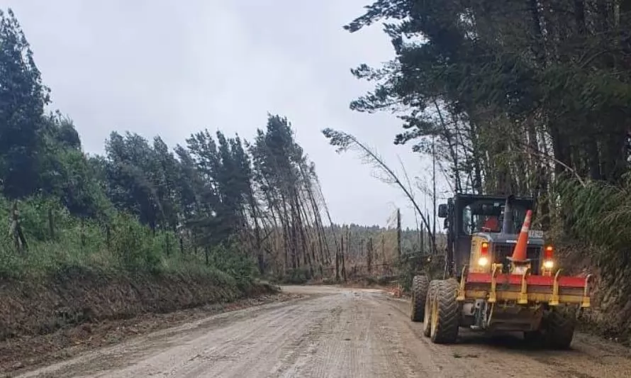 MOP Los Ríos entregó catastro de emergencias viales tras intensa jornada de lluvias y vientos