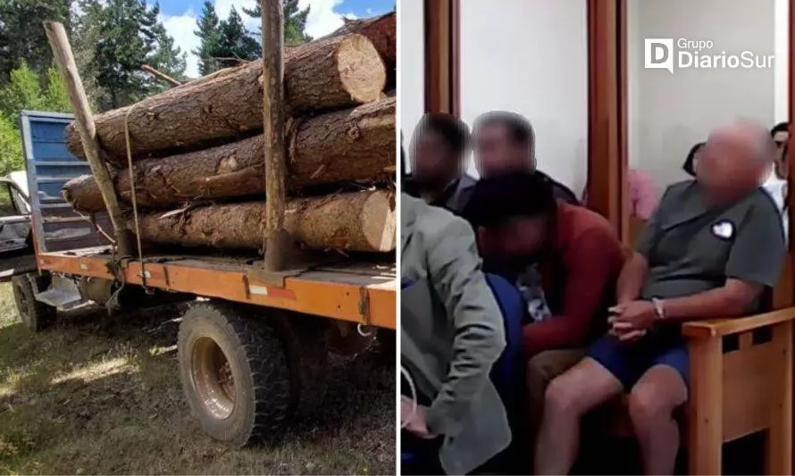 Envían a la cárcel a líderes de banda dedicada al robo de madera 