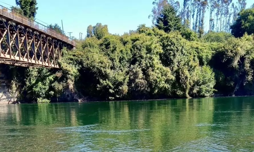 Adulto mayor murió tras caer desde un puente al río San Pedro 