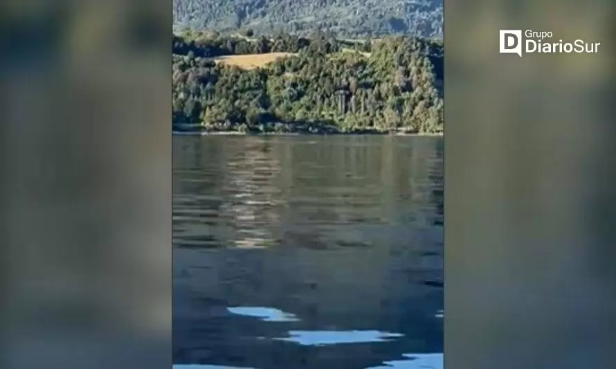 Turistas captan en video a extraña criatura en el lago Ranco