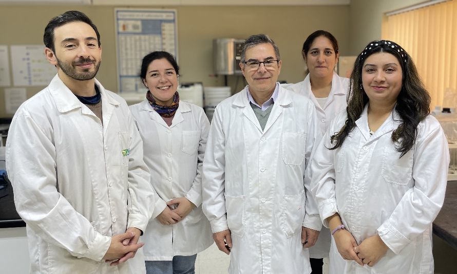 Laboratorio de Nutrición Animal de INIA Remehue obtiene destacados resultados a nivel latinoamericano 