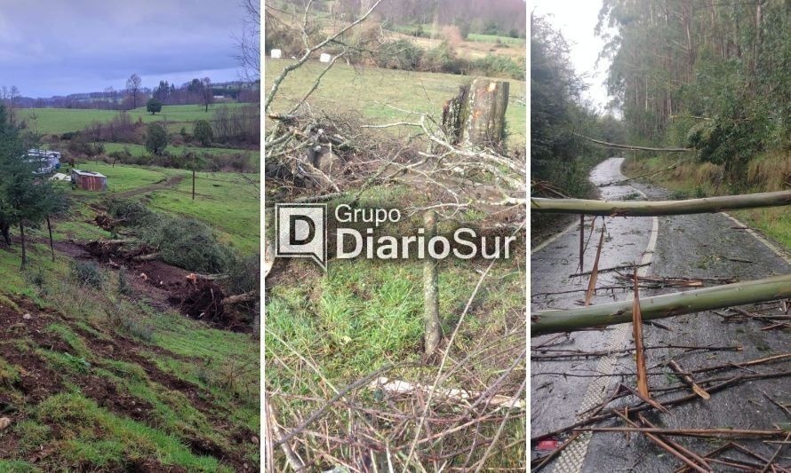 Sistema frontal: Reportan tornado en Futrono y caída de rayo en Máfil