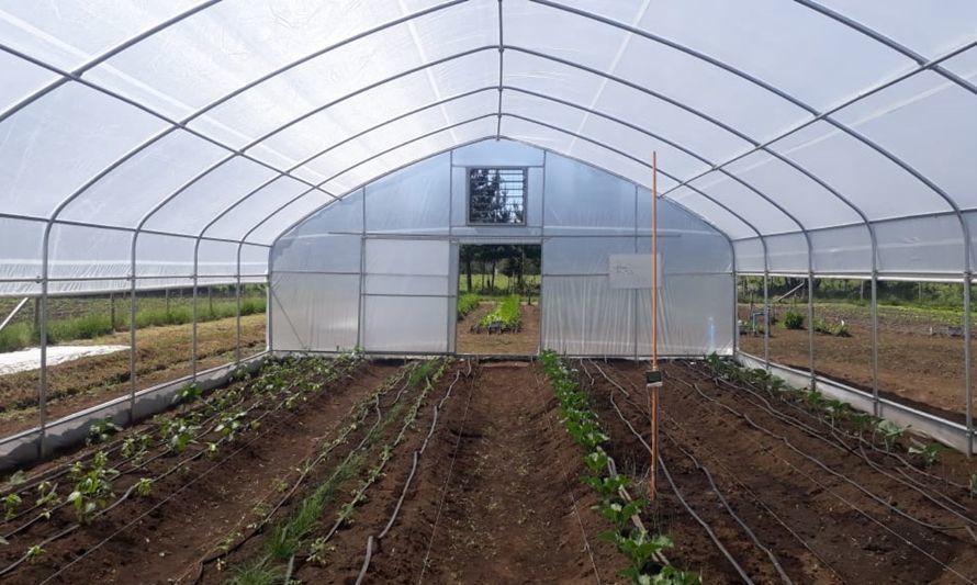 Taller de optimización del uso eficiente de invernaderos para producción de hortalizas