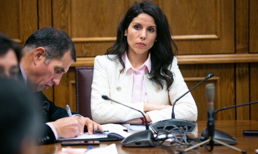 Senadora Gatica pide incorporar a Liquiñe al plan de conectividad digital