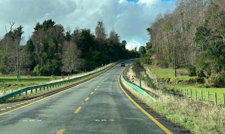 Descartan derrumbe en ruta Lago Ranco-Llifén: ruta está habilitada