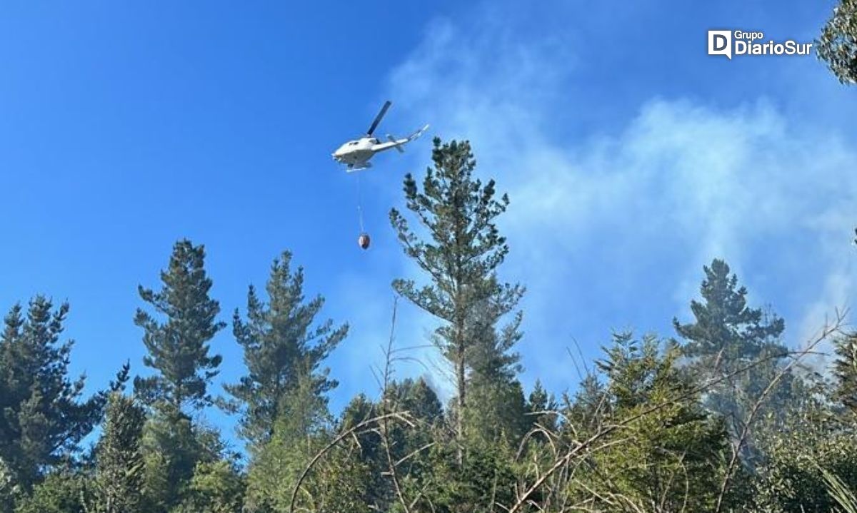 Brigada de Conaf combate incendio forestal en Casablanca