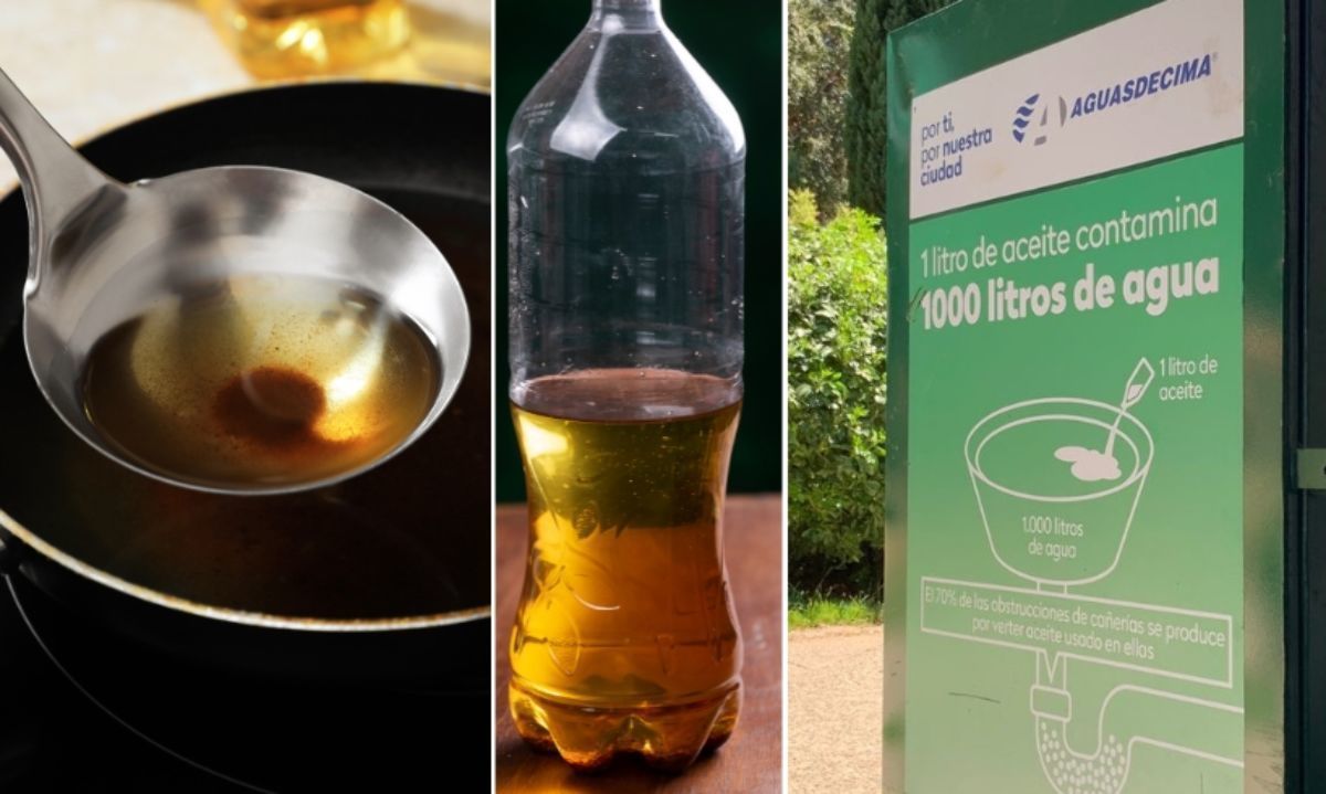 Aceite usado: entérate cuánto capturó campaña de reciclaje en su primera quincena