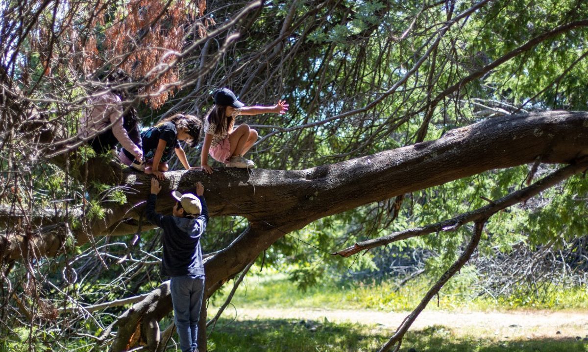 Ecoescuela de Corporación Lago Ranco finalizó con una actividad de Museo Taller