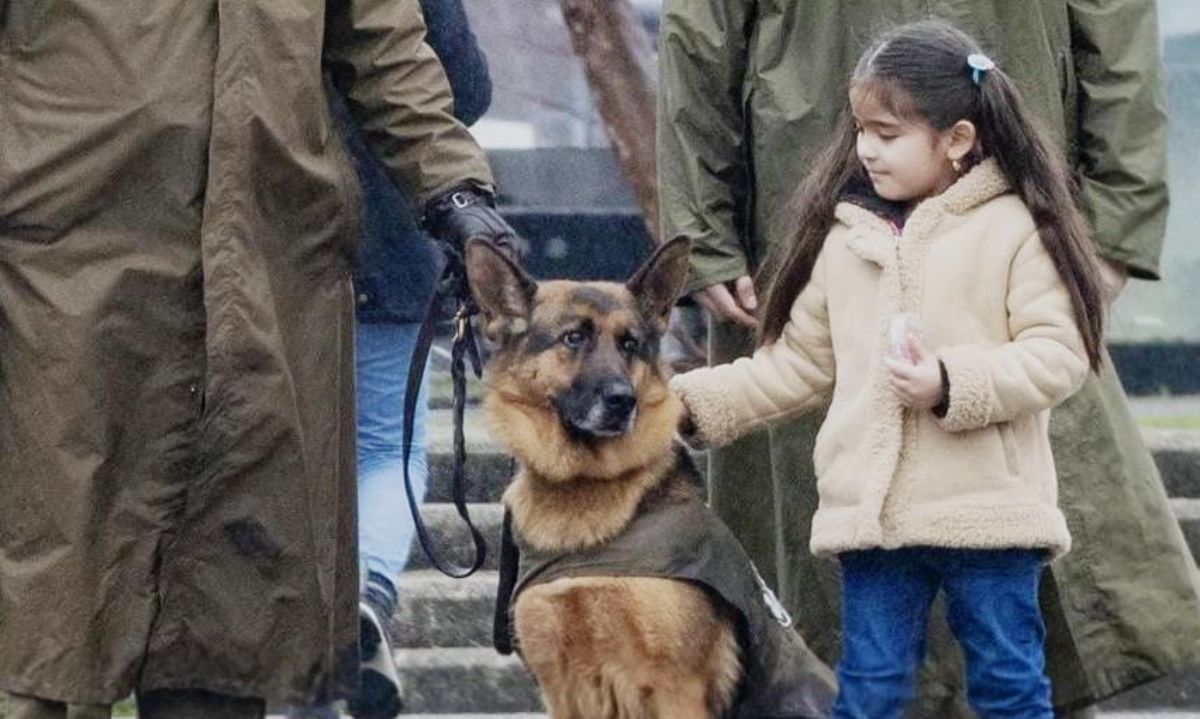 Falleció reconocida canina de carabineros “Zafi” en Valdivia