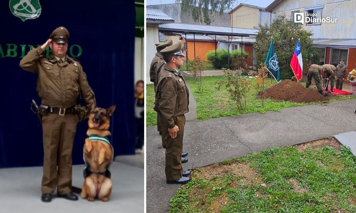 Adiós "Zafi": el emotivo funeral que Carabineros brindó a su reconocida canina