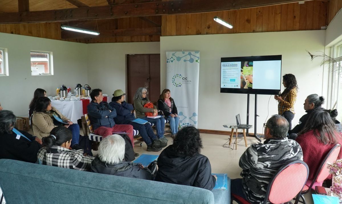 Escuela busca fortalecer tejido económico-social en Lanco y Máfil 