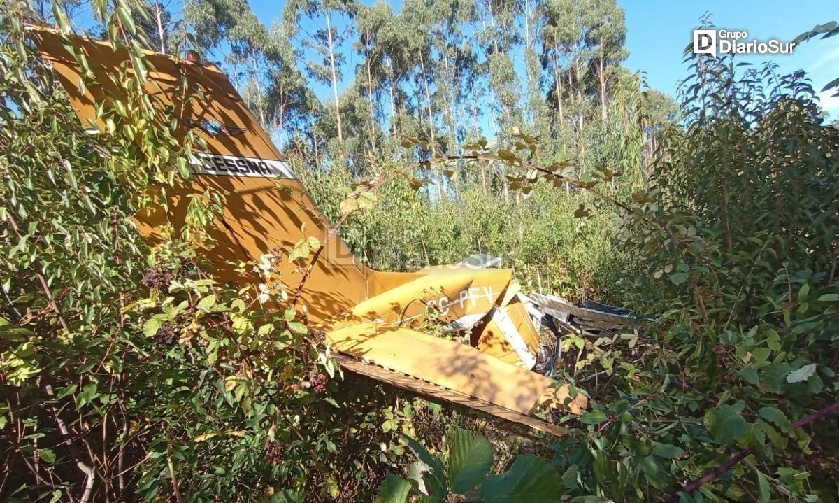 Accidente aéreo en Los Lagos: confirman que fallecido es el piloto de la avioneta