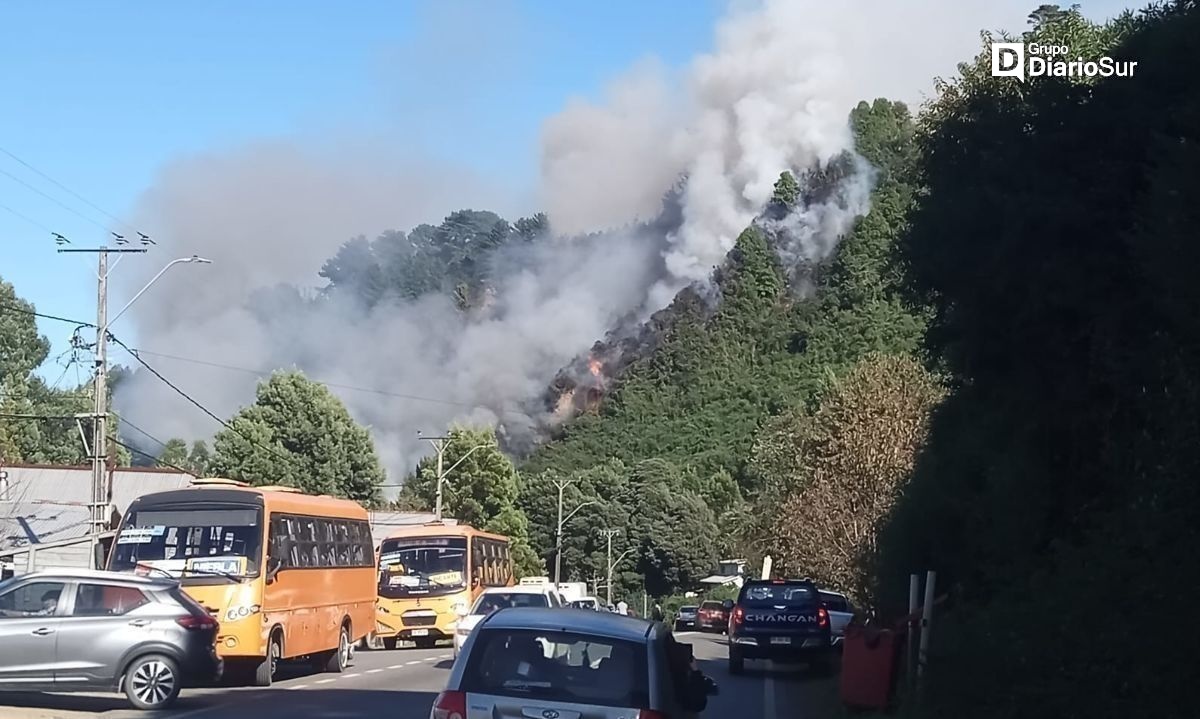 Bengala habría provocado incendio en Niebla