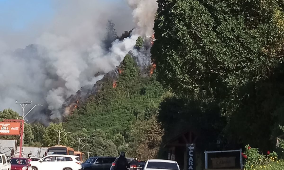 Pescador que lanzó bengala en Niebla: “Nunca fue la intención causar un incendio”