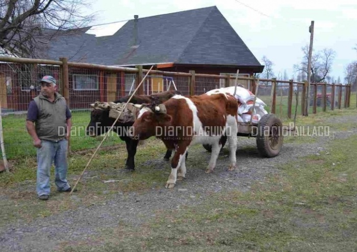 Lago Ranco: familias de Illahuapi, Quirrasco y Pocura recibieron recursos por 12 millones de pesos