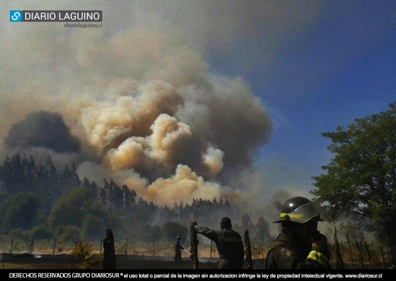 Se mantiene alerta roja en Los Lagos por incendio en sector Cuchuy Bajo