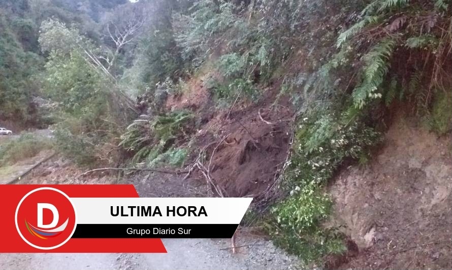 Sector cordillerano de Futrono se mantiene aislado tras aluvión 