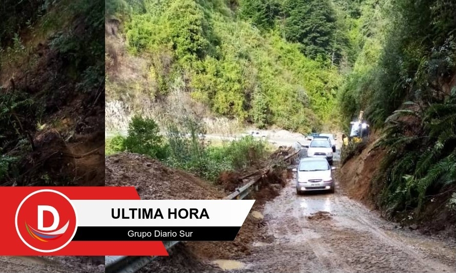 Habilitaron ruta tras derrumbe en zona cordillerana de Futrono