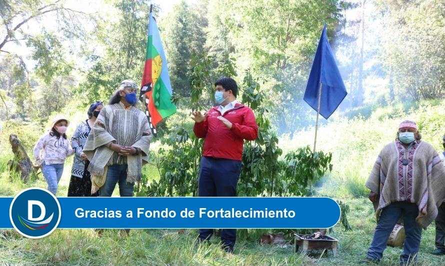 Comunidad Mapuche de Río Bueno aprendió a reconocer y recolectar hongos comestibles