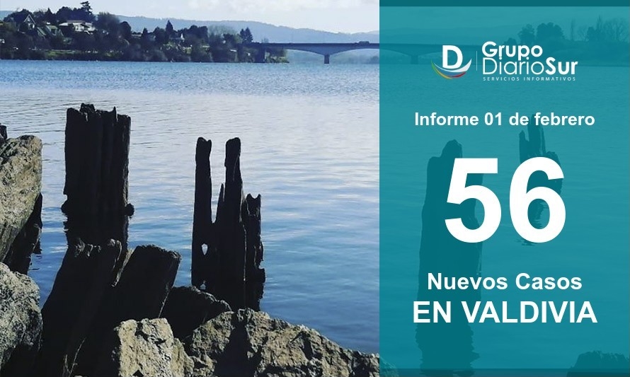 Valdivia inicia febrero con 56 nuevos infectados de Covid