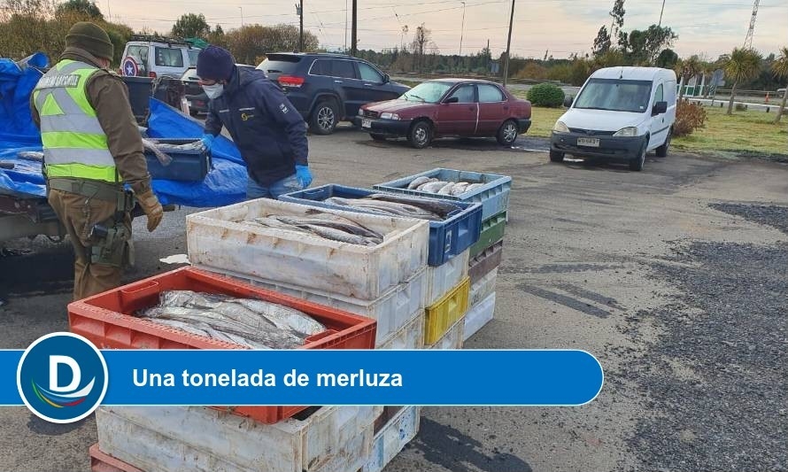 Los Ríos: Detectan recursos del mar de origen ilegal en control carretero