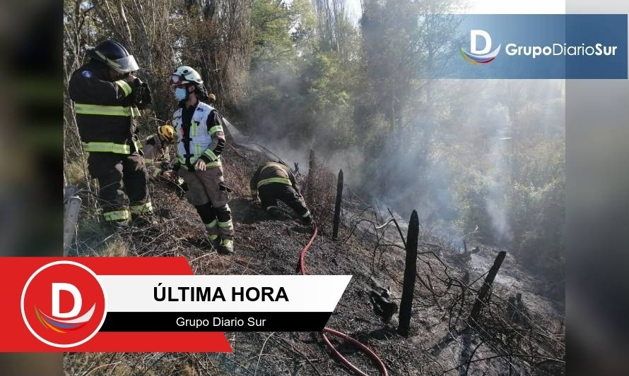 Bomberos combate incendio forestal en Río Bueno