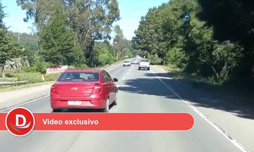 Captan a irresponsable conductor en ruta Valdivia-Paillaco