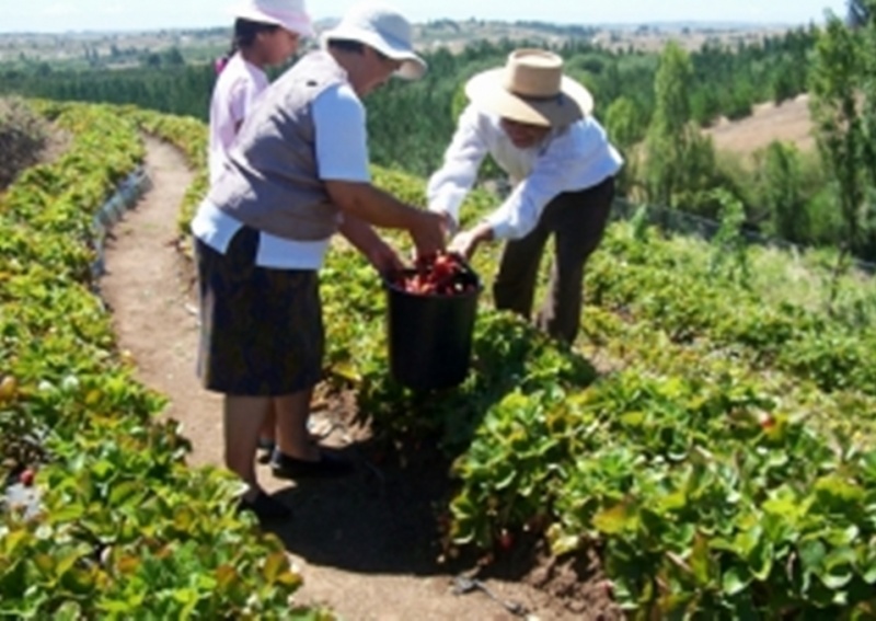 INIA e Indap firman convenio de cooperación que favorece a agricultores de Los Ríos