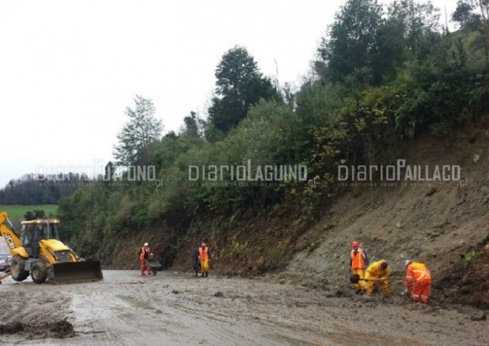 Ruta que une Futrono y Llifén permaneció cortada durante 90 minutos