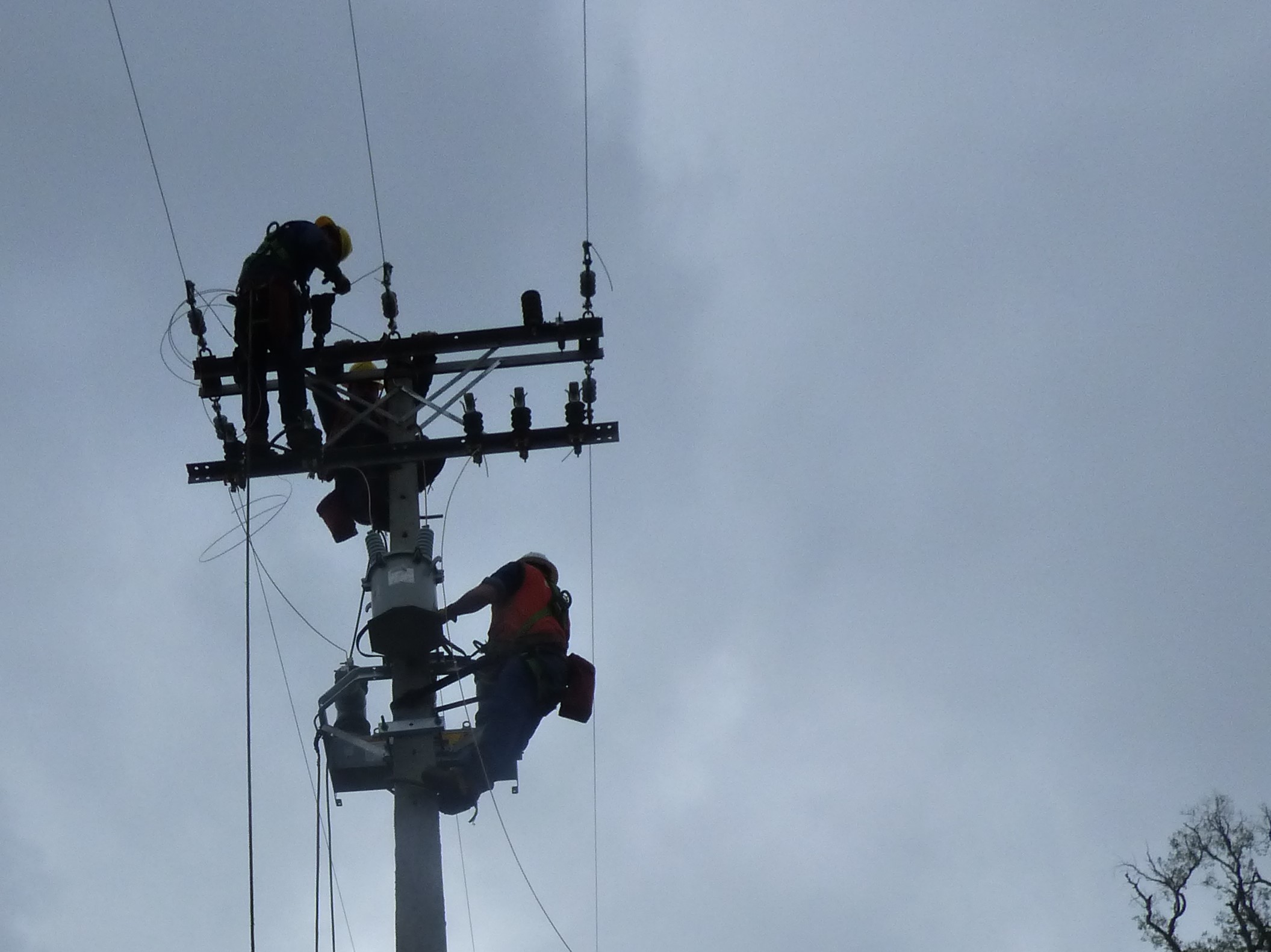 Socoepa despliega cuadrillas por cortes de energía en comunas de Los Ríos