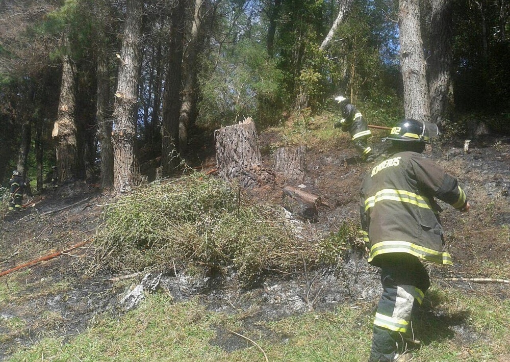 Incendio de pastizales se produjo en playa Epulafquen