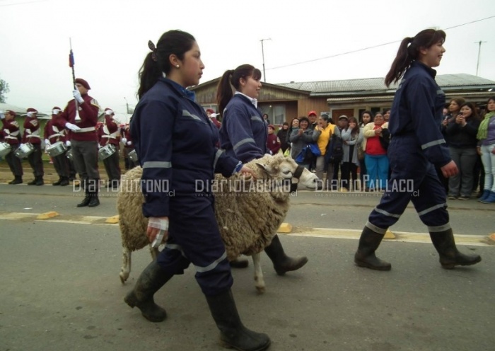 Desfiles en Lago Ranco en 120 fotos de Riniñahue, Pitriuco, Las Juntas, Ilihue, Pitreño, Ignao, Illahuapi y Ensenada
