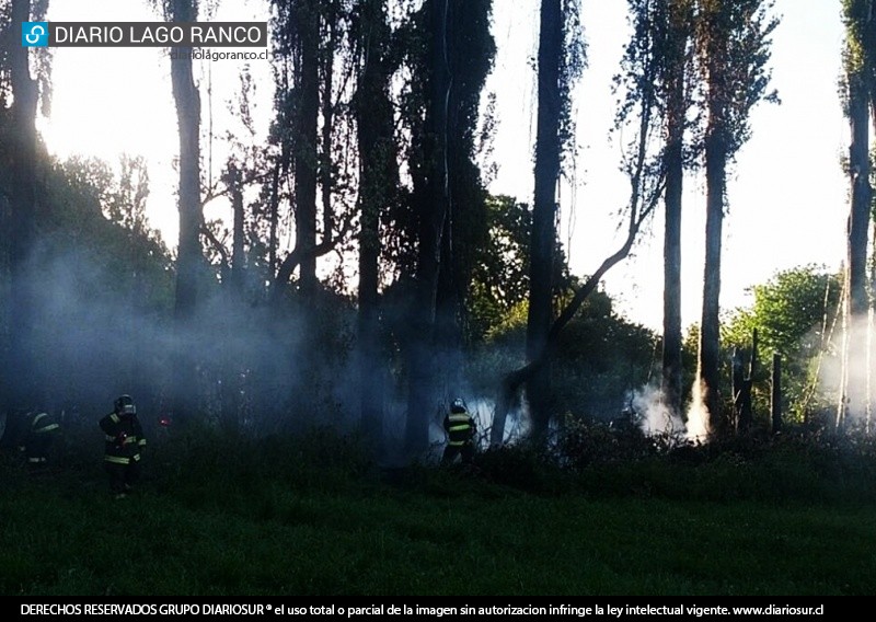 Incendio de pastizales se produjo en sector Tringlo A