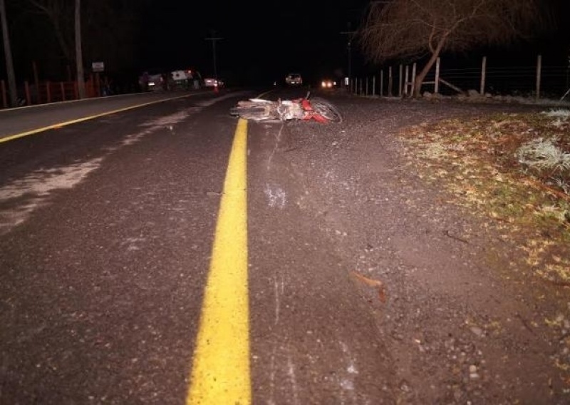 Core denuncia mal estado de la ruta que une a Río Bueno con Lago Ranco