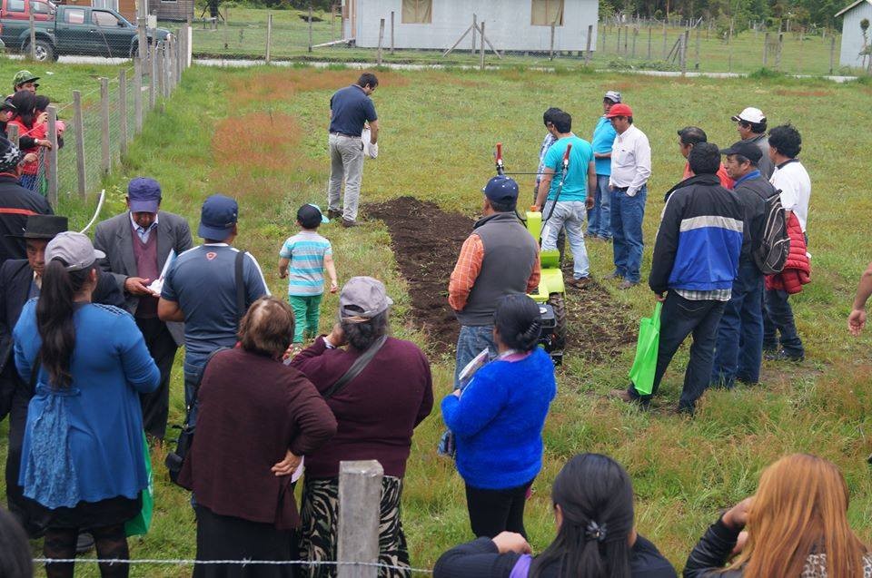 En Rupumeica 130 familias disfrutaron de Día de Campo organizado por PDTI Lago Ranco