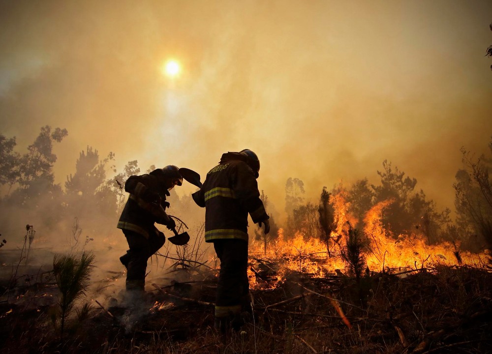 Diputado Berger (RN) integrará comisión investigadora tras incendios forestales  