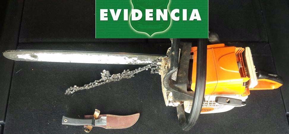 Detuvieron a sujeto que agredió a su pareja y amenazó a carabineros con una motosierra